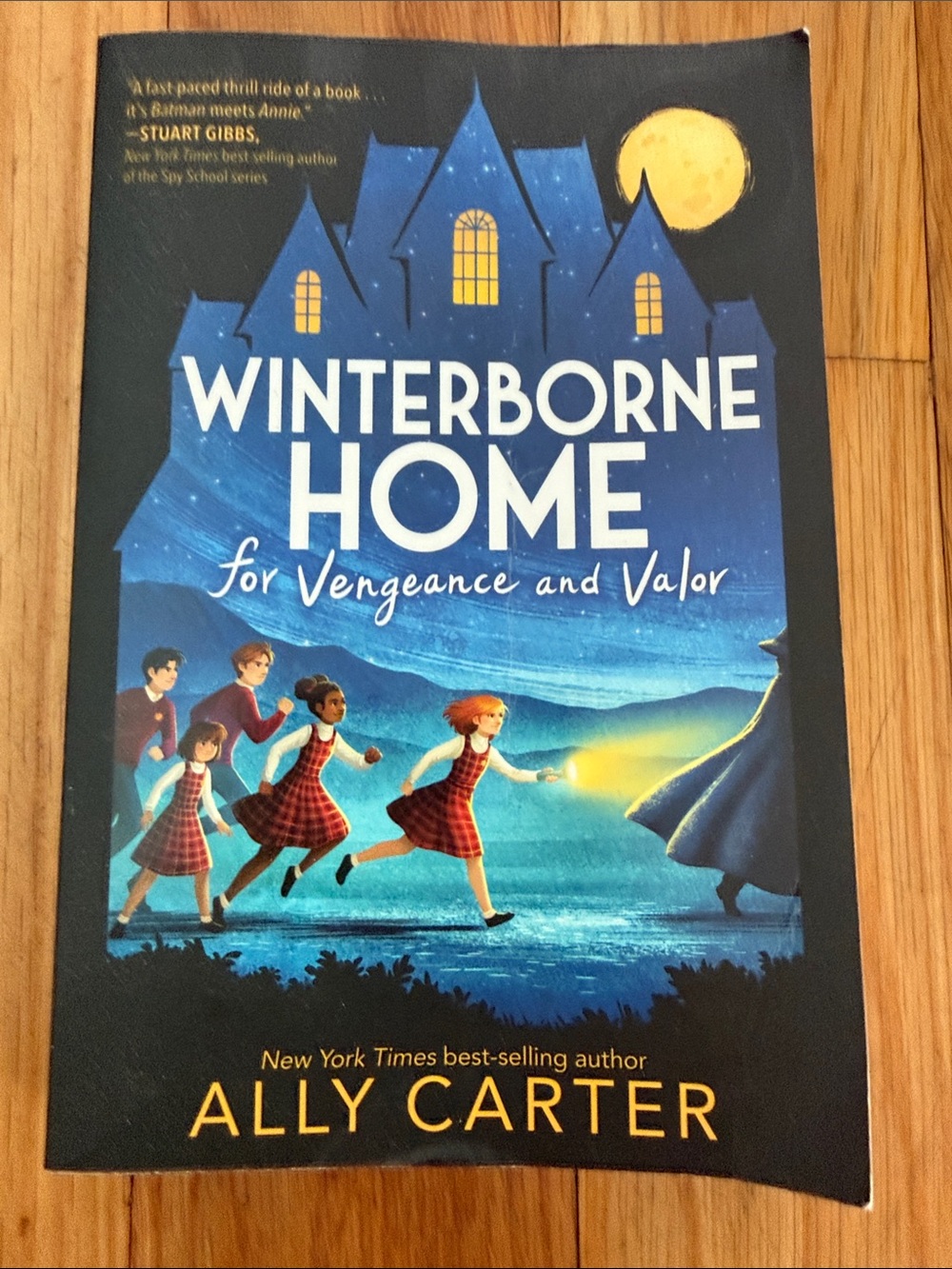 Winterborne Home for Vengeance and Valor by Ally Carter - Blue Cover